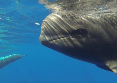 La Gomera – Ozeanische Woche Intensiv