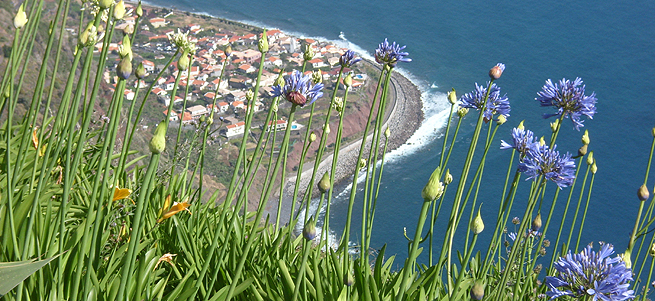 Madeira – Delfine und Meer